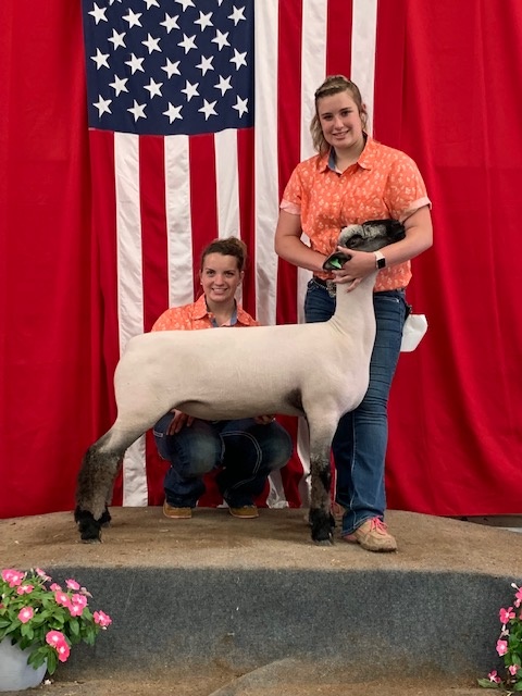 City Limits Winners